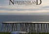 Newfoundland Through Eyes of A Foreigner