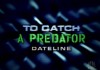 To Catch a Predator