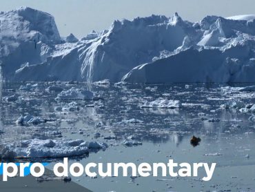 The Anthropocene: The Age of Mankind