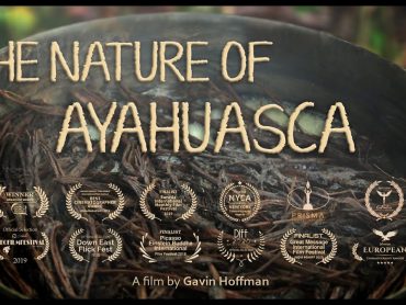 The Nature of Ayahuasca